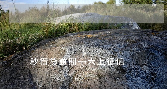 秒借贷逾期一天上征信 秒借贷逾期一天上征信