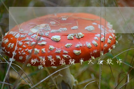 秒借贷逾期十天反欺诈 秒借贷逾期十天反欺诈