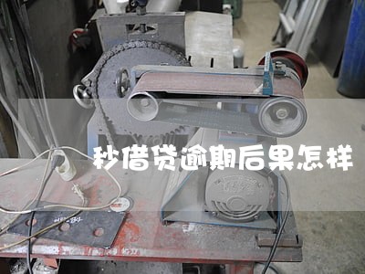 秒借贷逾期后果怎样 秒借贷逾期后果怎样