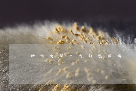 秒借逾期一天打电话吗 秒借逾期一天打电话吗