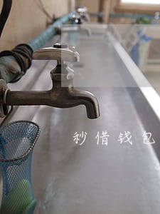 秒借钱包逾期会怎么样 秒借钱包逾期会怎么样