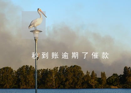 秒到账逾期了催款 秒到账逾期了催款