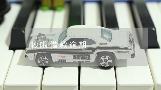 秒啦借款逾期 秒啦借款逾期