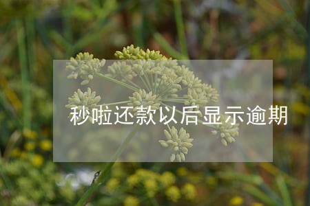 秒啦还款以后显示逾期