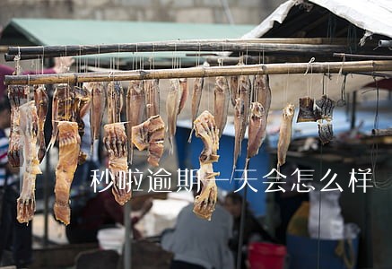 秒啦逾期一天会怎么样 秒啦逾期一天会怎么样