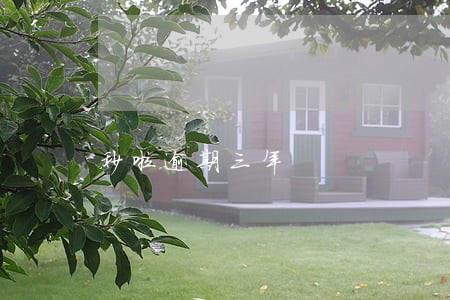 秒啦逾期三年 秒啦逾期三年