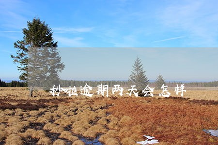 秒啦逾期两天会怎样 秒啦逾期两天会怎样