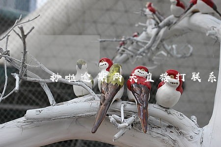 秒啦逾期两天直接打联系人 秒啦逾期两天直接打联系人