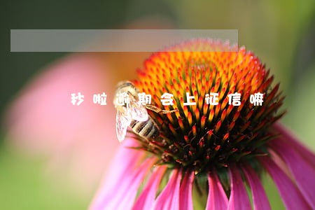 秒啦逾期会上征信嘛 秒啦逾期会上征信嘛