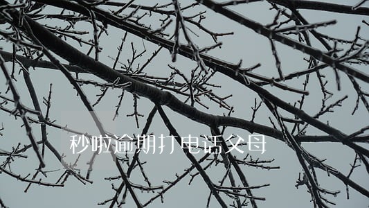 秒啦逾期打电话父母 秒啦逾期打电话父母