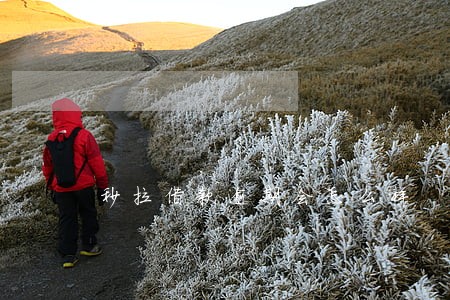 秒拉借款逾期会怎么样