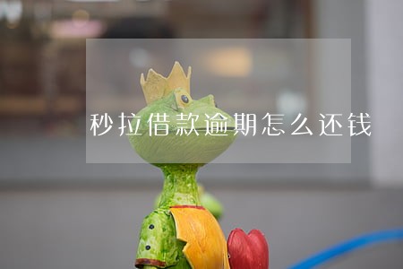 秒拉借款逾期怎么还钱 秒拉借款逾期怎么还钱