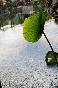 秒白借款逾期 秒白借款逾期