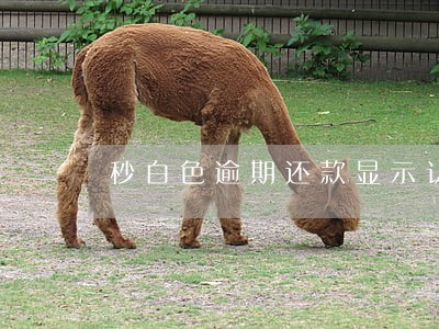 秒白色逾期还款显示认证失败 秒白色逾期还款显示认证失败