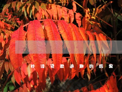 秒读贷款逾期的后果 秒读贷款逾期的后果
