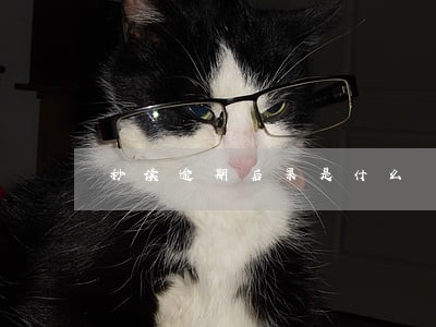 秒读逾期后果是什么 秒读逾期后果是什么