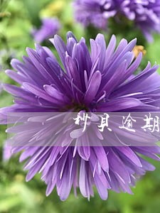 秒贝逾期一天会上征信吗 秒贝逾期一天会上征信吗
