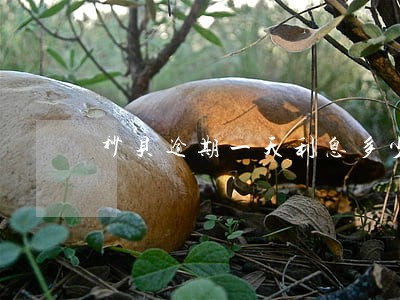 秒贝逾期一天利息多少 秒贝逾期一天利息多少
