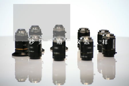 秒贝逾期催收怎么样 秒贝逾期催收怎么样