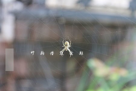 秒购借款逾期 秒购借款逾期