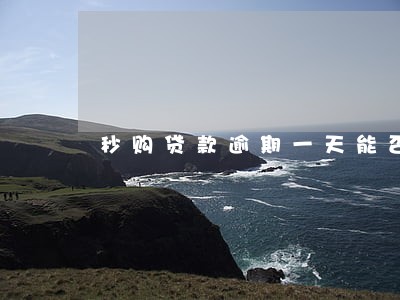 秒购贷款逾期一天能否协商 秒购贷款逾期一天能否协商