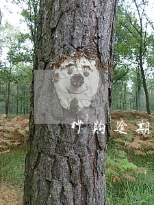 秒购逾期一天会爆通讯录吗 秒购逾期一天会爆通讯录吗