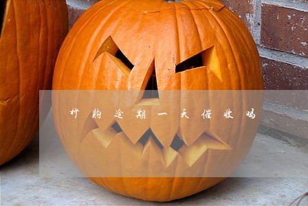 秒购逾期一天催收吗 秒购逾期一天催收吗