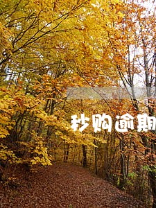 秒购逾期不还后果 秒购逾期不还后果