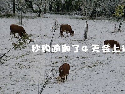 秒购逾期了4天会上征信吗 秒购逾期了4天会上征信吗