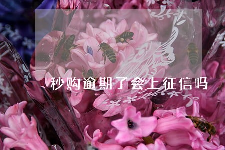 秒购逾期了会上征信吗 秒购逾期了会上征信吗