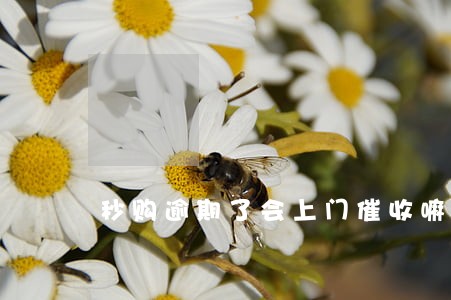 秒购逾期了会上门催收嘛 秒购逾期了会上门催收嘛