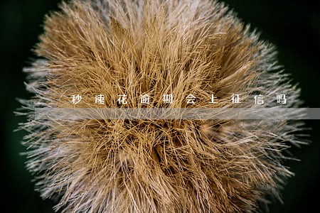 秒速花逾期会上征信吗 秒速花逾期会上征信吗