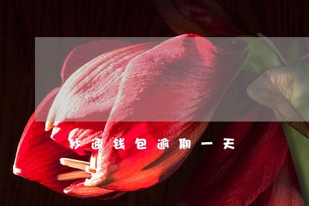秒速钱包逾期一天 秒速钱包逾期一天