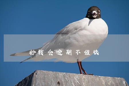 秒钱仓逾期不催收 秒钱仓逾期不催收
