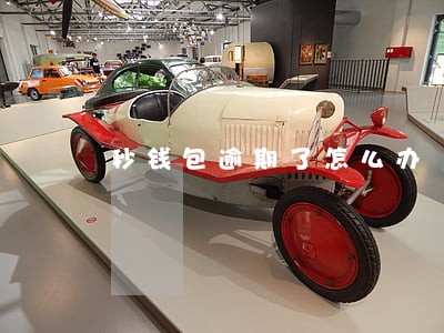 秒钱包逾期了怎么办 秒钱包逾期了怎么办