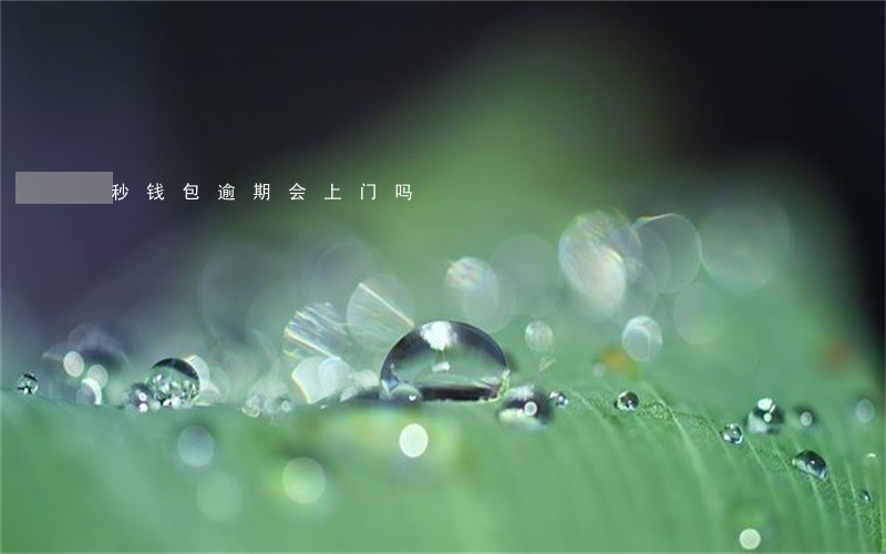 秒钱包逾期会上门吗 秒钱包逾期会上门吗