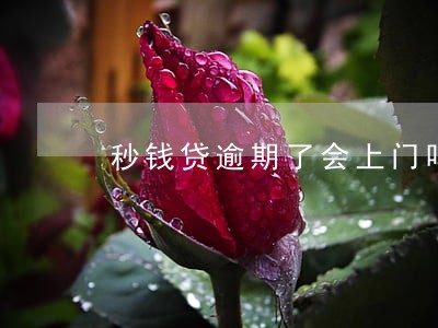秒钱贷逾期了会上门吗 秒钱贷逾期了会上门吗