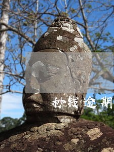 秒钱逾期怎么报警 秒钱逾期怎么报警