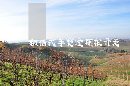 租借式车贷逾期被开走 租借式车贷逾期被开走