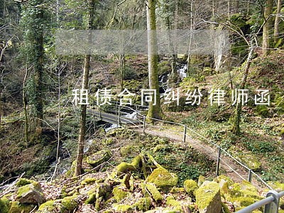 租债合同纠纷律师函