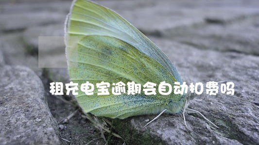 租充电宝逾期会自动扣费吗 租充电宝逾期会自动扣费吗