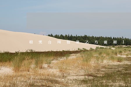 租凭合同如果乙方逾期1天
