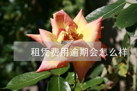 租凭费用逾期会怎么样 租凭费用逾期会怎么样