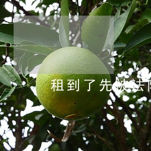 租到了先被法院查封的房产 租到了先被法院查封的房产
