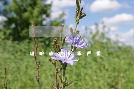 租呗逾期后果严重 租呗逾期后果严重