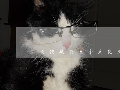 租商铺提前五个月交房租违法