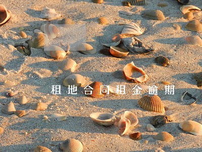 租地合同租金逾期 租地合同租金逾期
