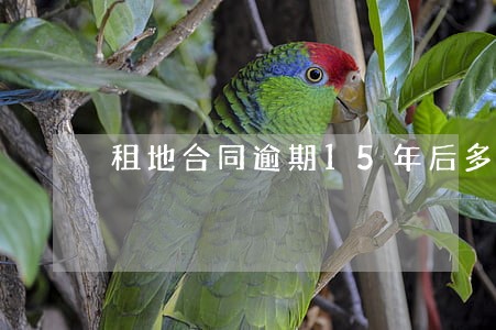 租地合同逾期15年后多久解除 租地合同逾期15年后多久解除