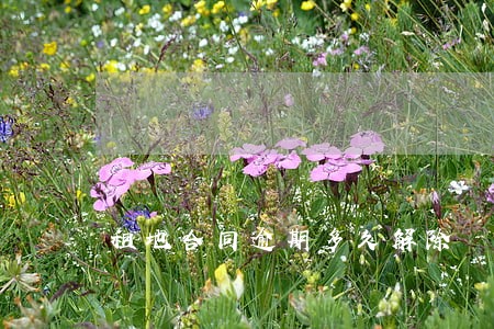 租地合同逾期多久解除 租地合同逾期多久解除