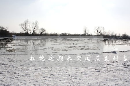 租地逾期未交回应支付占用费 租地逾期未交回应支付占用费